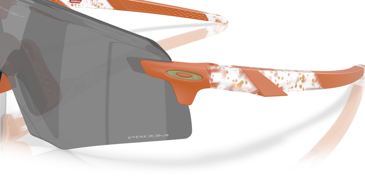 Encoder Gafas de Sol Oakley Terrazzo Transparente Mate Lente Prizm Negro #5
