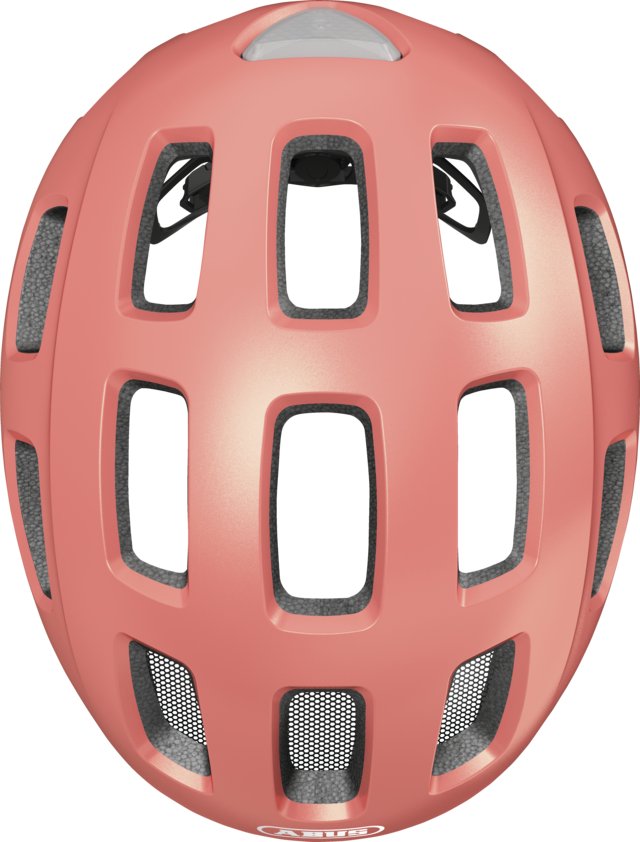 10091888-01