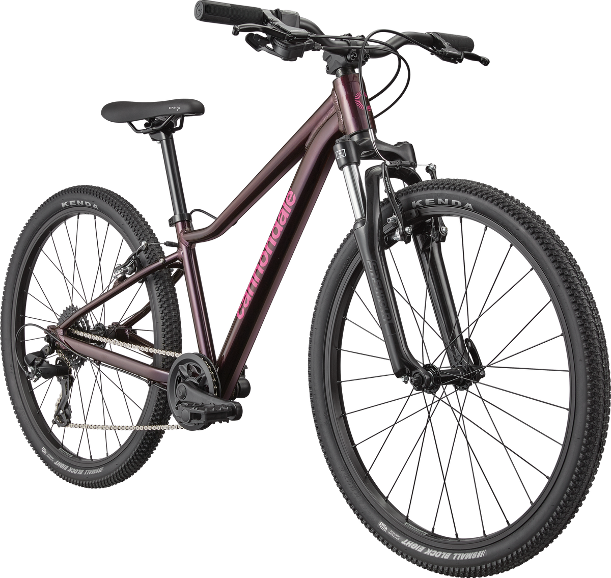 Cannondale Kids Trail 24 2026 Royal Purple #2