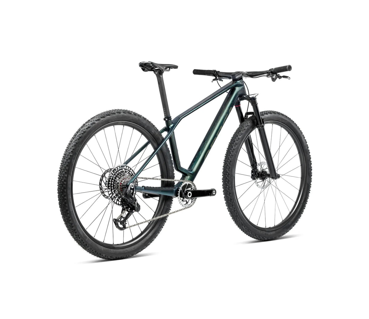 S222TTCC-FA-BACK-ALMA_MLTD