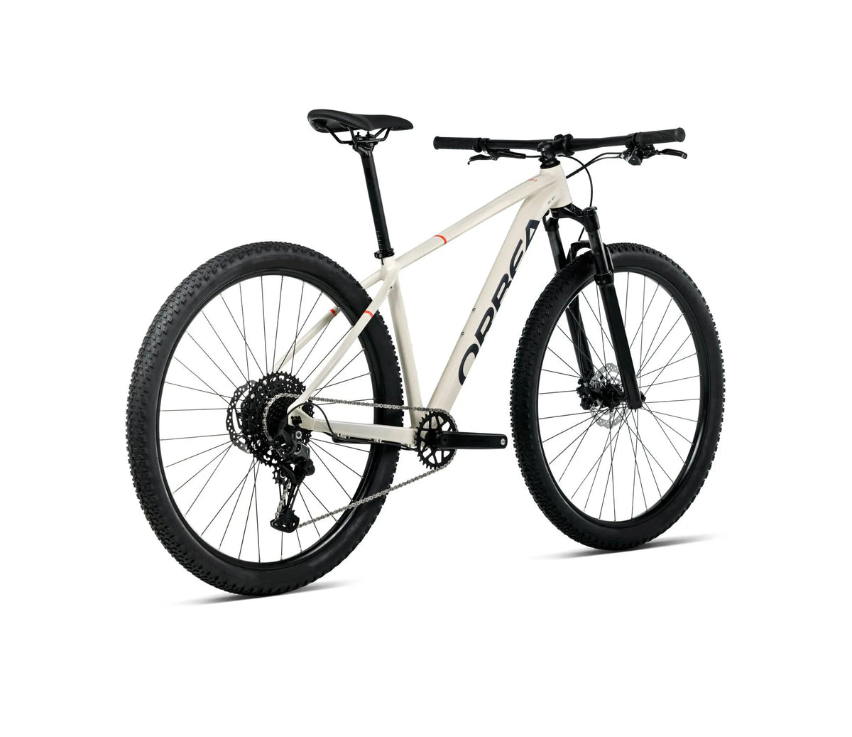 T207TTCC-RF-BACK-ONNA_29_20