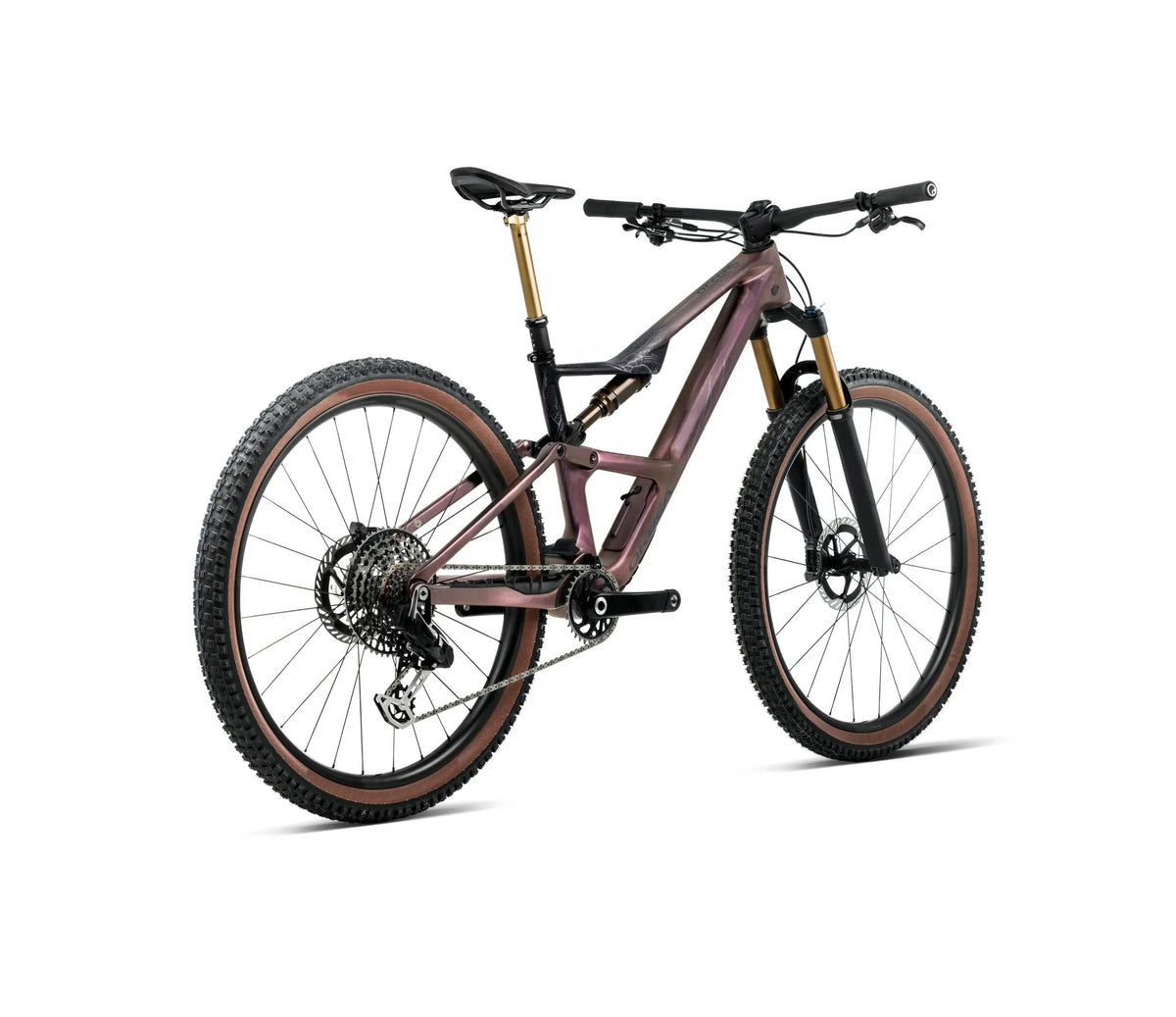 T242TTCC-M3-BACK-OCCAM_SL_MLTD