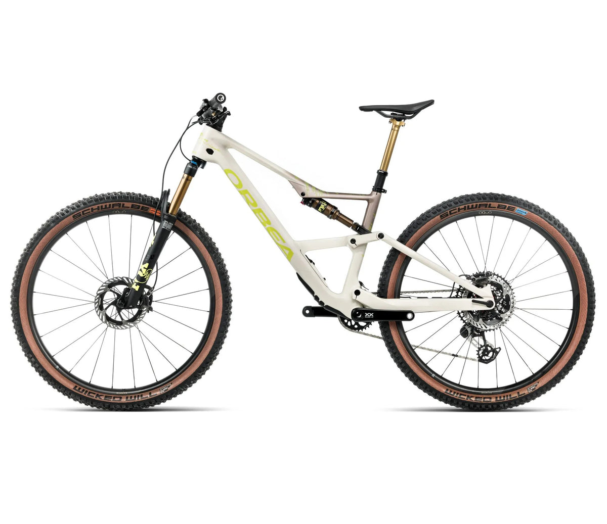 T242TTCC-M4-SIDE2-OCCAM_SL_MLTD