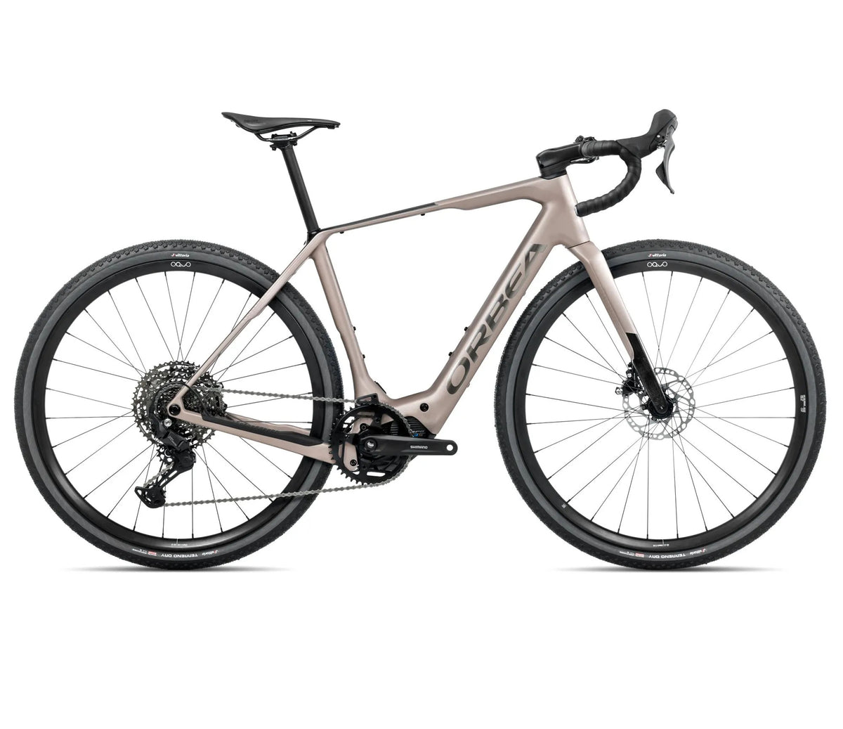 T306TTCC-RC-SIDE-DENNA_M40