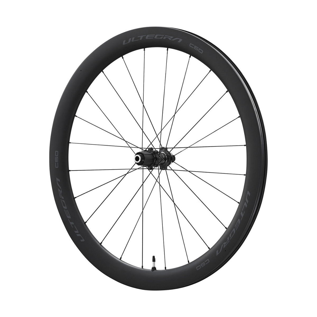 WH-R8170-C50-TL-R-shic219-primary_1