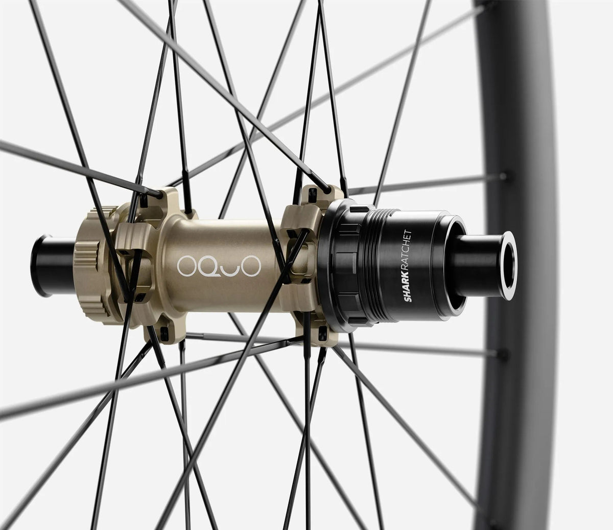 front-04-oquo-rp35ltd-xdr